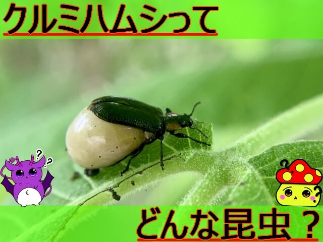 Thumbnail of post image 183